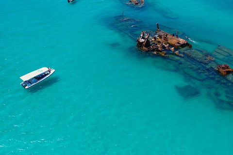 Private Tangalooma Wrecks Tour - Pubs Sydney 4