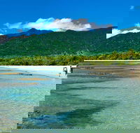 5-Day Best of Cairns with Daintree Kuranda and Great Barrier Reef - Pubs Sydney