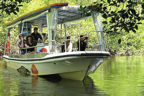 5-Day Best Of Cairns With Daintree, Kuranda, And Great Barrier Reef - Pubs Sydney 1