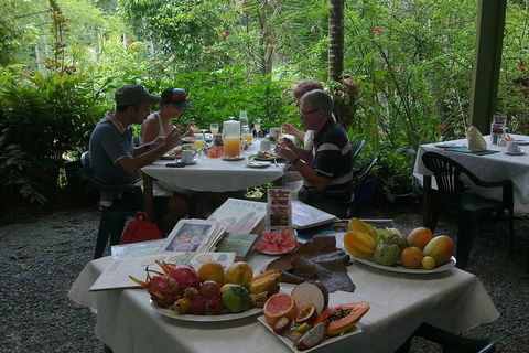5-Day Best Of Cairns With Daintree, Kuranda, And Great Barrier Reef - Pubs Sydney 4
