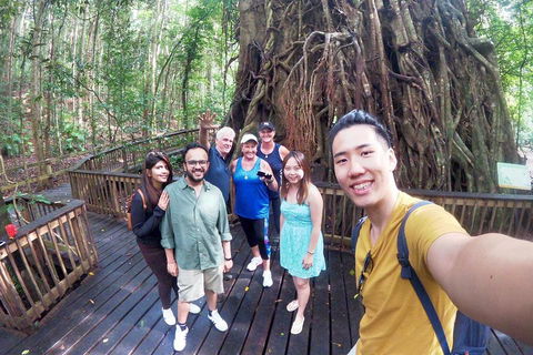 Cairns 4WD Waterfall And Rainforest Tour Including Kuranda Scenic Railway - Pubs Sydney 0