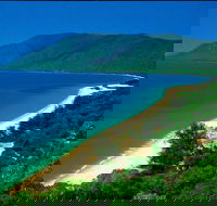 Cairns Reef and Rainforest Combo Daintree Rainforest and the Great Barrier Reef - Pubs Sydney
