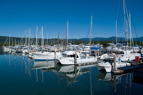 Cairns Reef And Rainforest Combo: Daintree Rainforest And The Great Barrier Reef - Pubs Sydney 5