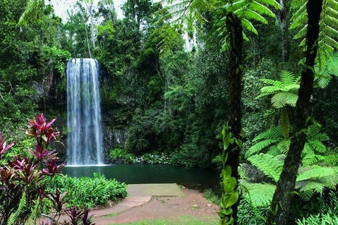 Paronella Park And Millaa Millaa Falls Full-day Tour From Cairns - Pubs Sydney 3