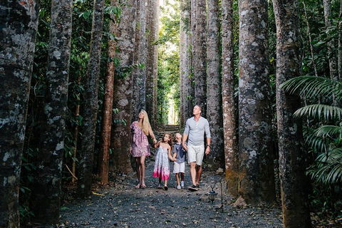 Paronella Park And Millaa Millaa Falls Full-day Tour From Cairns - Pubs Sydney 5