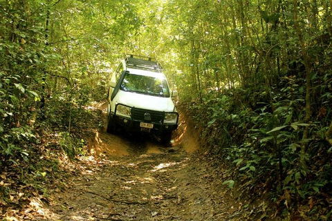 Barron Gorge And Kuranda National Park Half Day Rainforest And Waterfall 4WD Tour From Cairns - Pubs Sydney 2