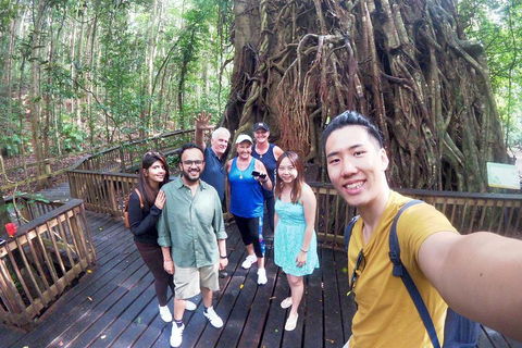 Barron Gorge And Kuranda National Park Half Day Rainforest And Waterfall 4WD Tour From Cairns - Pubs Sydney 5