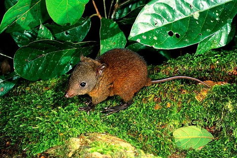 3-Day Small-Group Tour Of North Queensland With Pick Up - Pubs Sydney 0