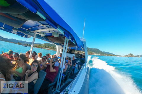 Whitehaven Beach Day Tour With Snorkel In Whitsundays Island - Pubs Sydney 0