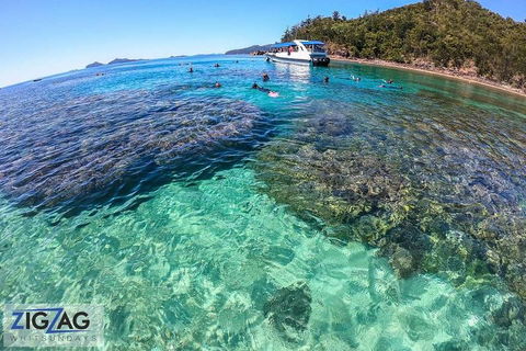 Whitehaven Beach Day Tour With Snorkel In Whitsundays Island - Pubs Sydney 5