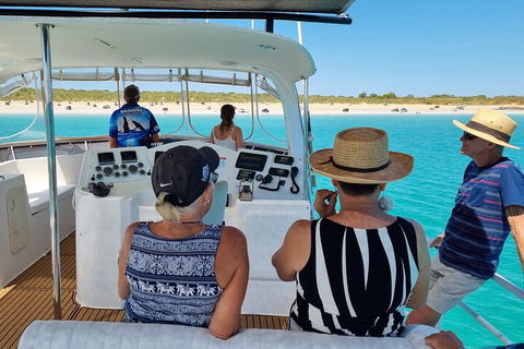 Snubfin Dolphin Eco Cruise From Broome - Pubs Sydney 5