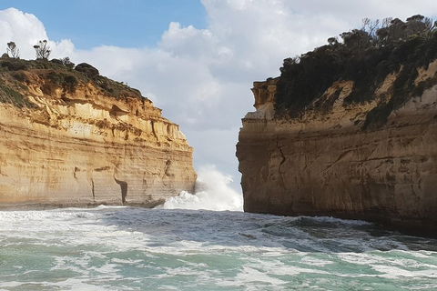 12 Apostles Tour From Warrnambool - Pubs Sydney 2