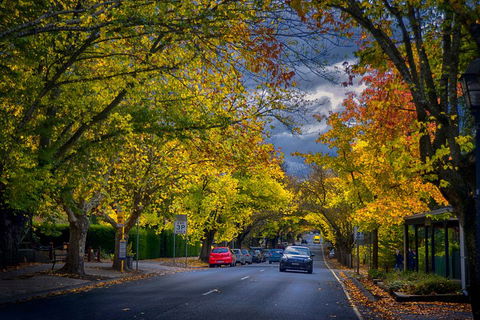 Small Group Adelaide Hills And Hahndorf Hideaway Tour From Adelaide - Pubs Sydney 1