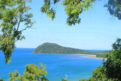 Full Day Tour In The Daintree - Pubs Sydney 1
