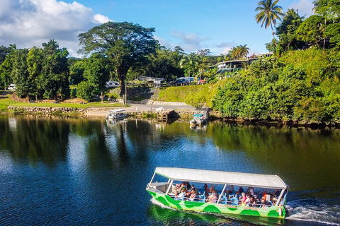 Full Day Tour In The Daintree - Pubs Sydney 2