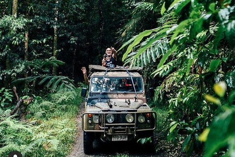 Full Day Tour In The Daintree - Pubs Sydney 4