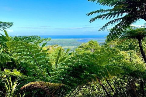 Full Day Tour In The Daintree - Pubs Sydney 5