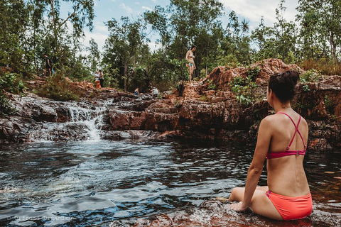 Litchfield National Park Day Tour From Darwin With Waterfalls And Buley Rockhole - Pubs Sydney 0