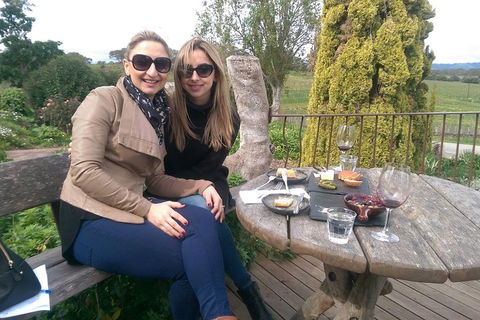 McLaren Vale Intimate Winery Tour By Private Limo - Pubs Sydney 4