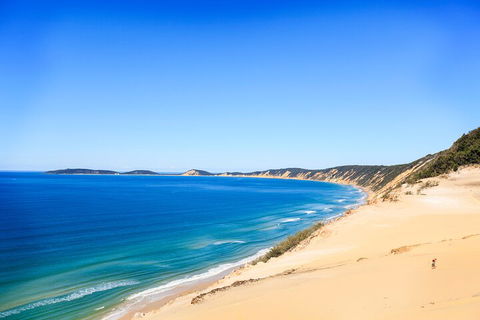 Kayak With Dolphins And 4WD Great Beach Drive Day Trip From Noosa - Pubs Sydney 0