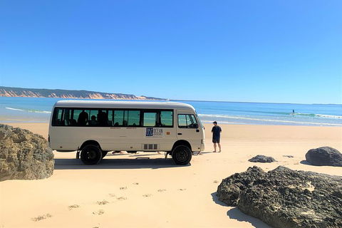 Kayak With Dolphins And 4WD Great Beach Drive Day Trip From Noosa - Pubs Sydney 4