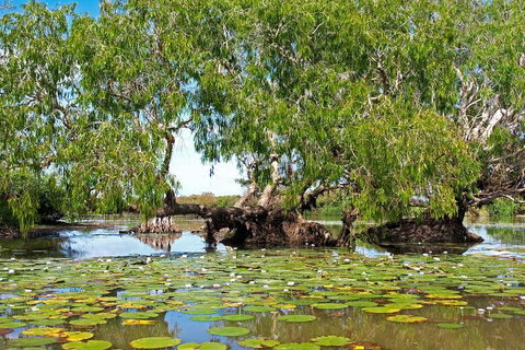 Ethical Adventures - Best In The WET - Litchfield / Kakadu 3 Day- Max 10 Guests - Pubs Sydney 1