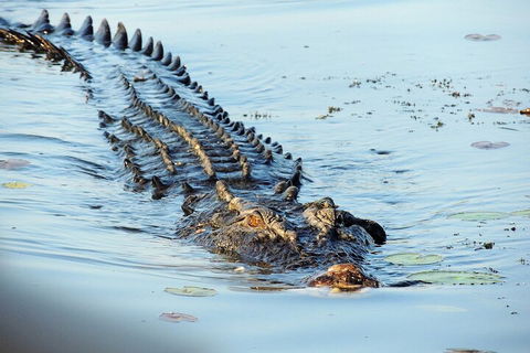 Ethical Adventures - Best In The WET - Litchfield / Kakadu 3 Day- Max 10 Guests - Pubs Sydney 4