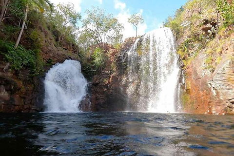 Ethical Adventures - Best In The WET - Litchfield / Kakadu 3 Day- Max 10 Guests - Pubs Sydney 5