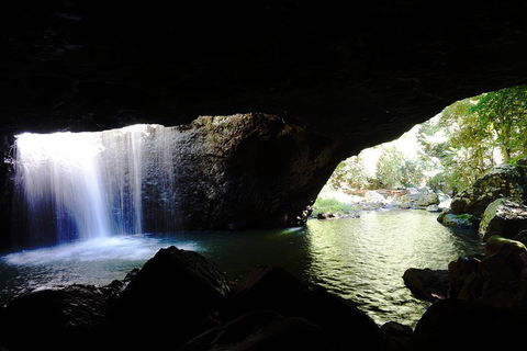 Rainforest & Waterfalls Extravaganza - Pubs Sydney 0
