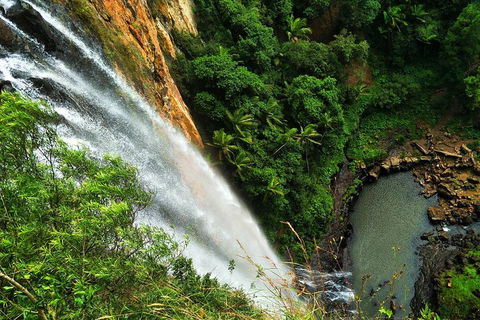 Rainforest & Waterfalls Extravaganza - Pubs Sydney 1