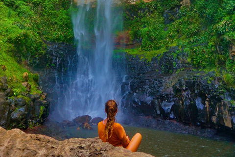 Rainforest & Waterfalls Extravaganza - Pubs Sydney 2