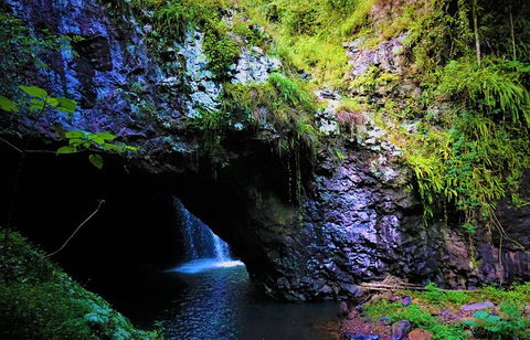 Rainforest & Waterfalls Extravaganza - Pubs Sydney 5
