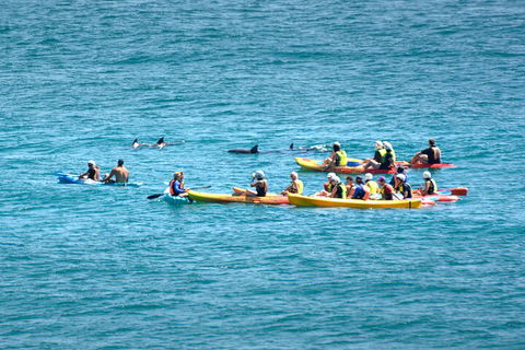 The Byron Bay Sea Kayak Tour - Pubs Sydney 1