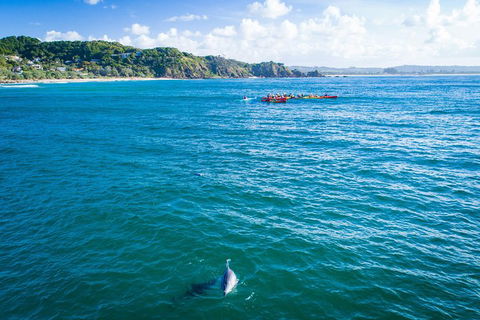 The Byron Bay Sea Kayak Tour - Pubs Sydney 2
