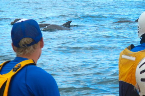 The Byron Bay Sea Kayak Tour - Pubs Sydney 4