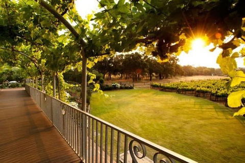 Busselton Jetty + Train Ride + Winery + Scenic Drive Full Day Tour - Pubs Sydney 1