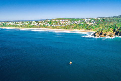 Noosa Oceanrider Scenic Dolphin Safari - Pubs Sydney 4