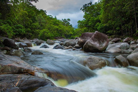 Cape Tribulation Day Tour - Pubs Sydney 0