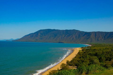 Cape Tribulation Day Tour - Pubs Sydney 1