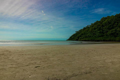 Cape Tribulation Day Tour - Pubs Sydney 2