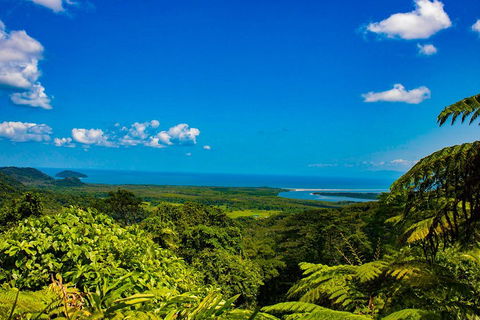 Cape Tribulation Day Tour - Pubs Sydney 3