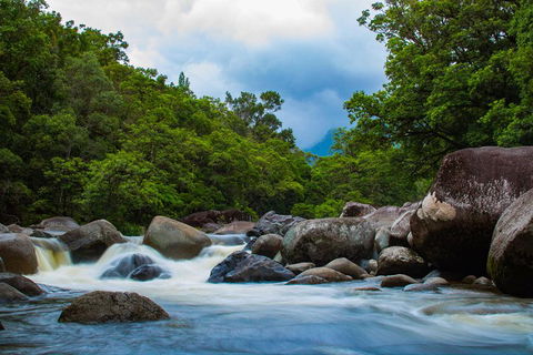 Cape Tribulation Day Tour - Pubs Sydney 4