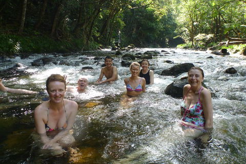Daintree Rainforest, Cape Tribulation, Mossman Gorge Small-Group Day Tour - Pubs Sydney 0