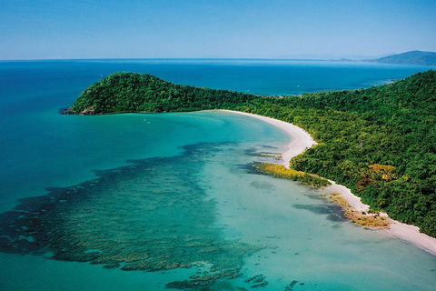 Daintree Rainforest, Cape Tribulation, Mossman Gorge Small-Group Day Tour - Pubs Sydney 4