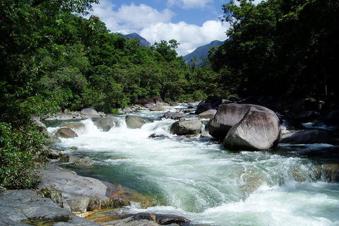 Daintree Rainforest, Cape Tribulation, Mossman Gorge Small-Group Day Tour - Pubs Sydney 5