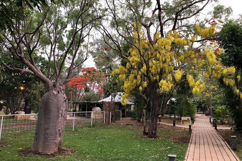 Wet Season Mitchell Falls Tour - Mitchell Falls, Horizontal Falls & Cygnet Bay - Pubs Sydney 1