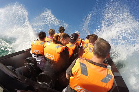 Noosa Thriller - 500hp Ocean Adventure Ride - Pubs Sydney 4