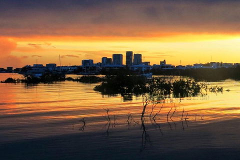 Tropical Light Sundowner Cruise With Drinks Included - Pubs Sydney 0
