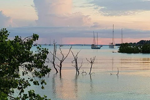 Tropical Light Sundowner Cruise With Drinks Included - Pubs Sydney 2