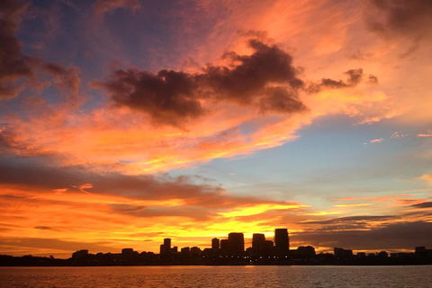Tropical Light Sundowner Cruise With Drinks Included - Pubs Sydney 4